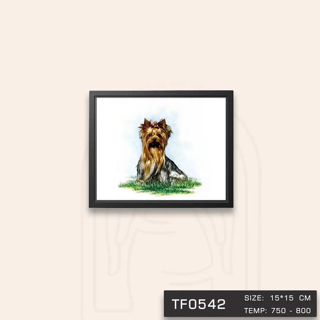TF0542 ترانسفر حیوانات
