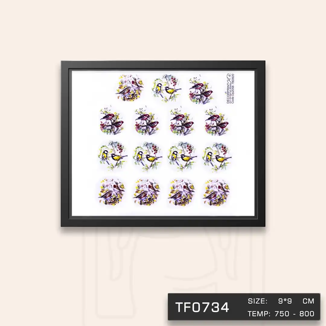 TF0734 ترانسفر پرنده