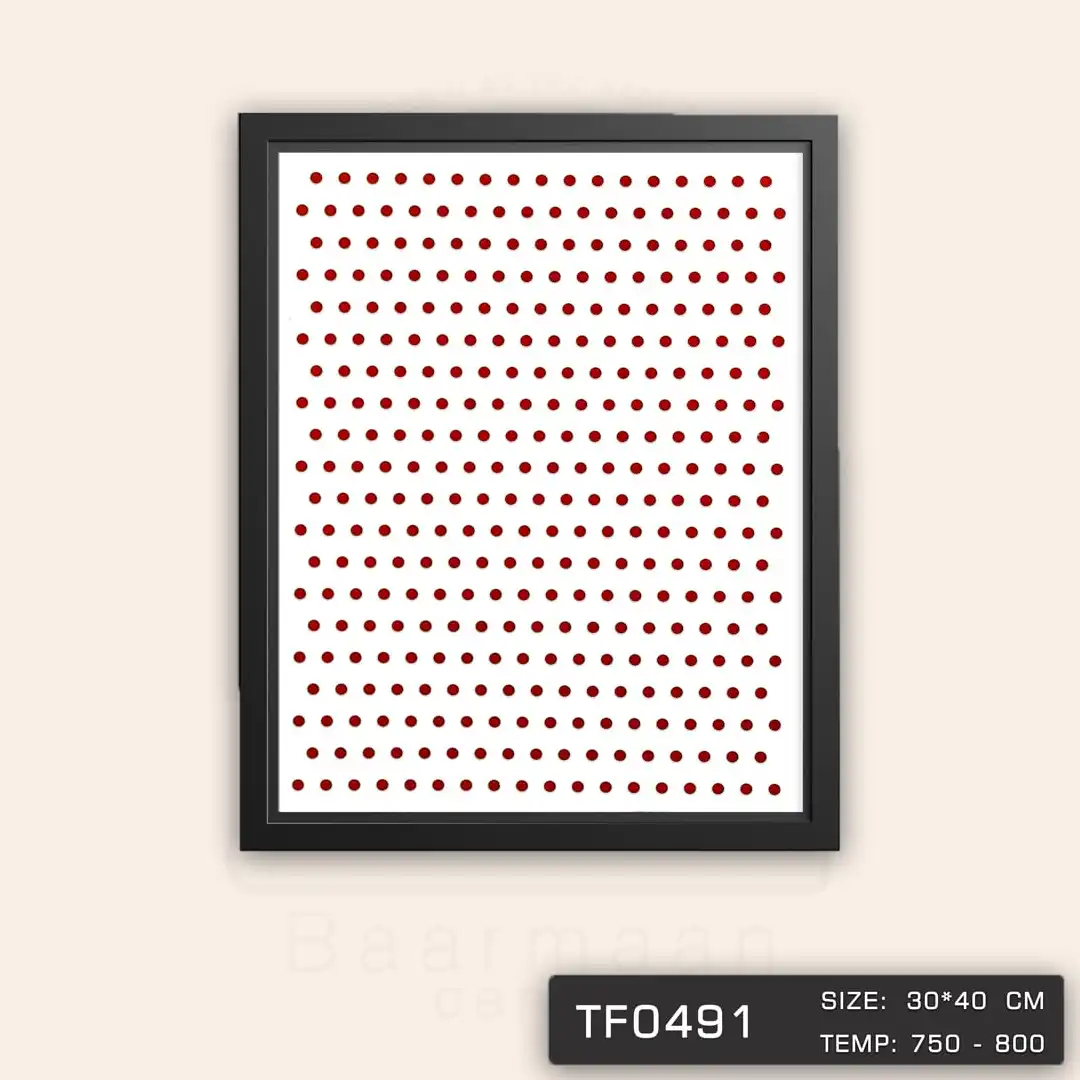 TF0491 ترانسفر دایره طلایی