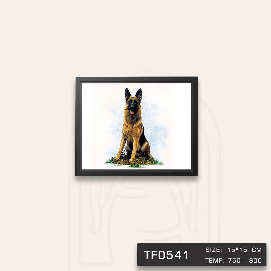 TF0541 ترانسفر حیوانات