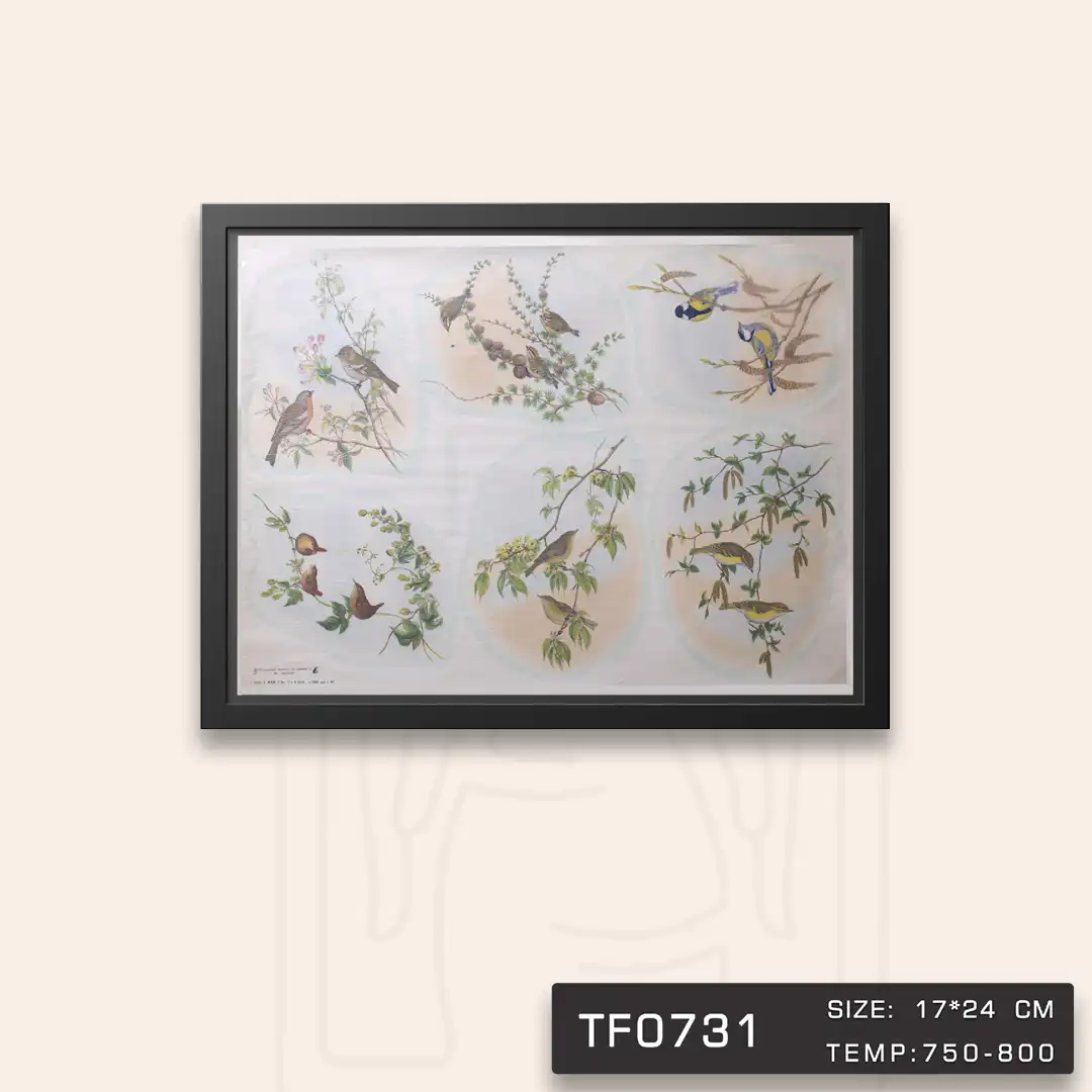 TF0731 ترانسفر پرنده