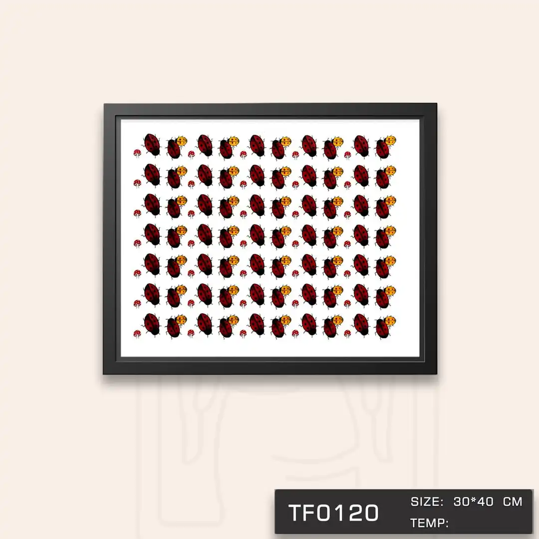 TF0120 ترانسفر کفش دوزک