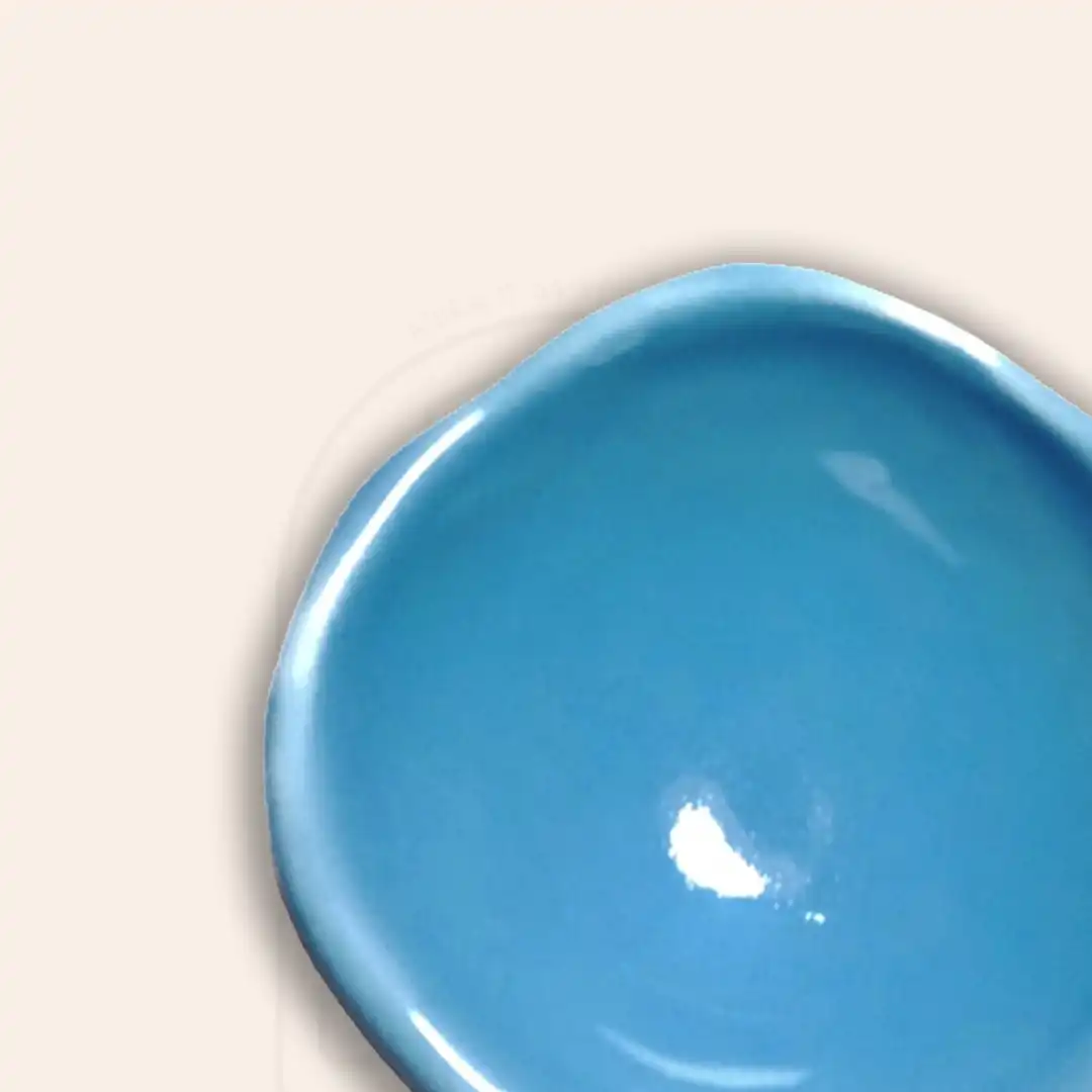 براشینگ آبی کد BLUEBIRD