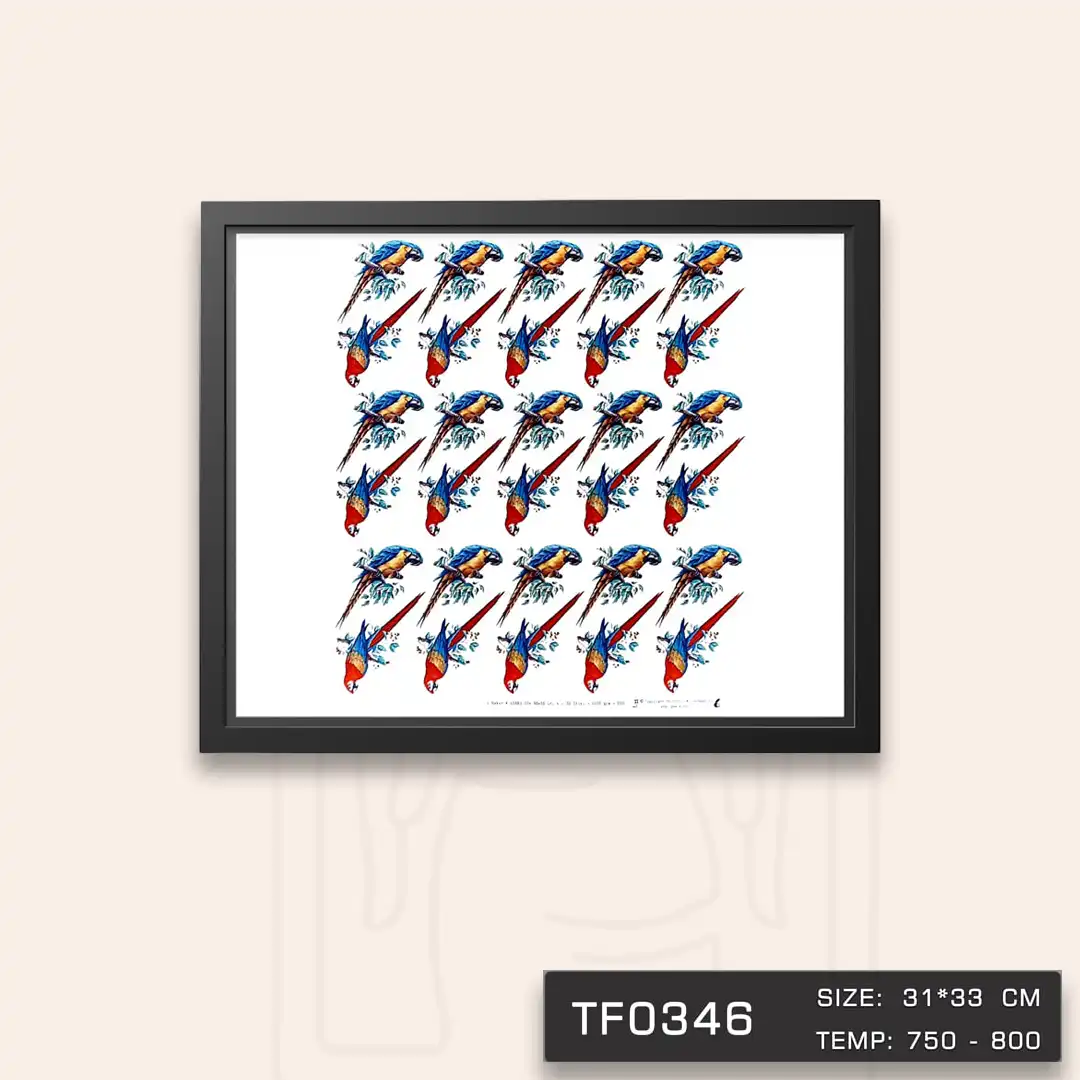 TF0346 ترانسفر طوطی آلمانی