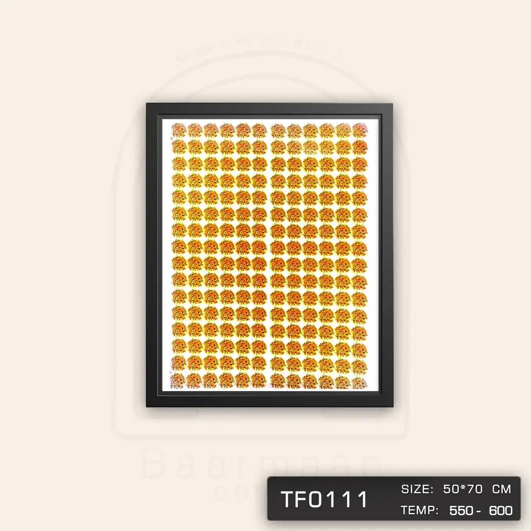 TF0111 ترانسفر پرنده
