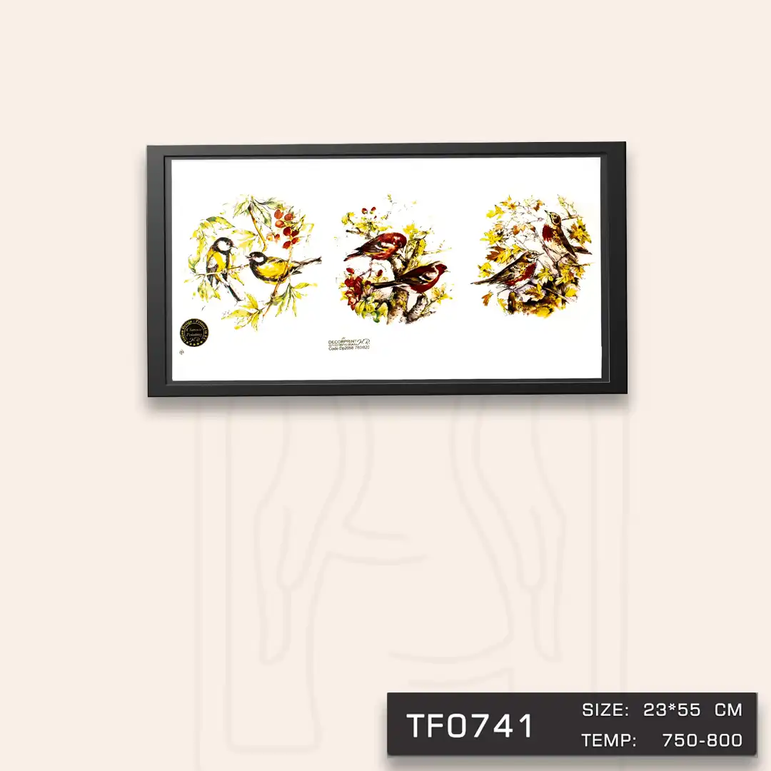 TF0741 ترانسفر پرنده