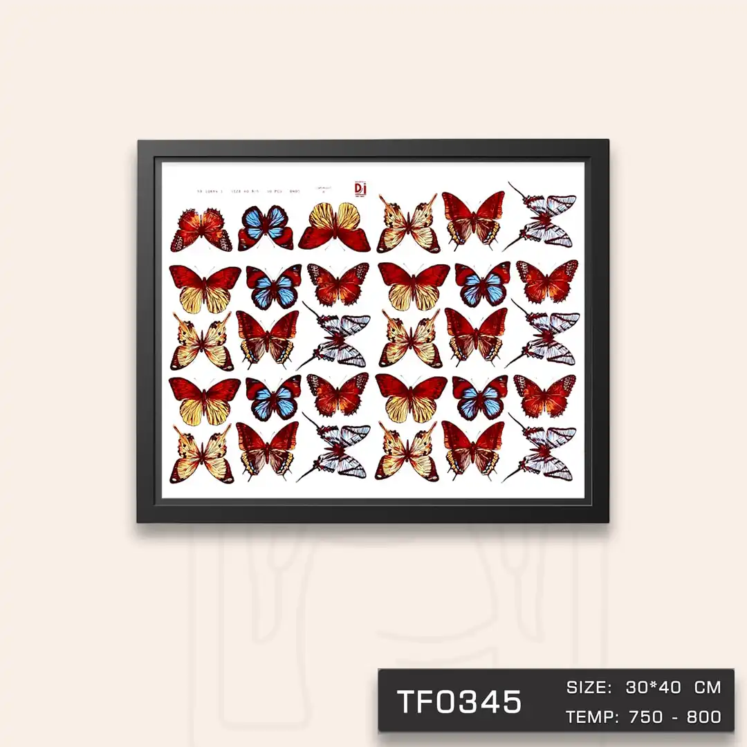 TF0345 ترانسفر پروانه متوسط Decoritalia