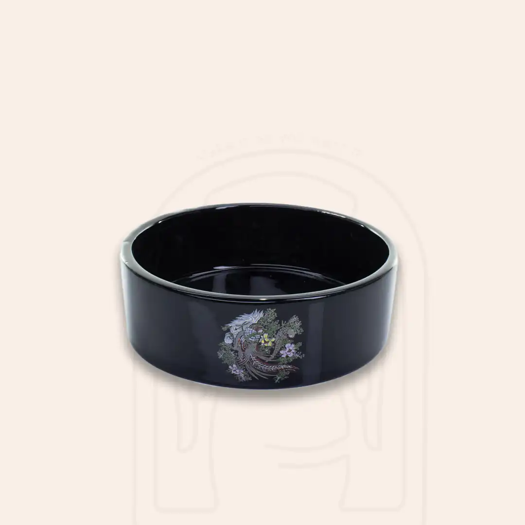 TF0111 ترانسفر پرنده
