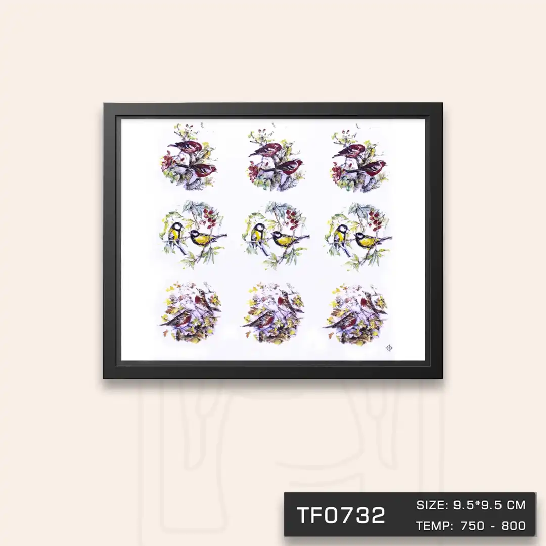 TF0732 ترانسفر پرنده