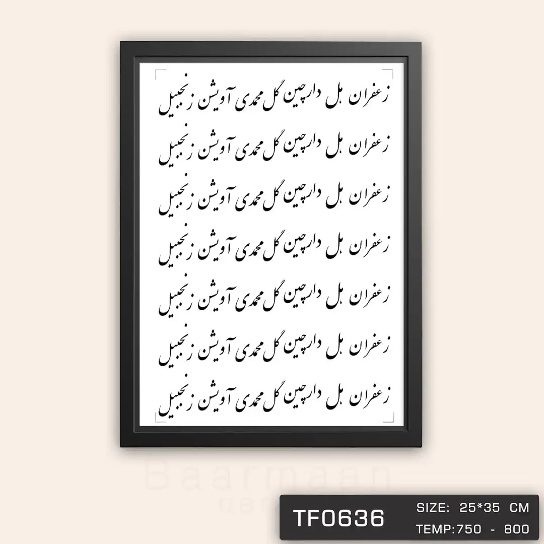 TF0636 ترانسفر پاسماوری