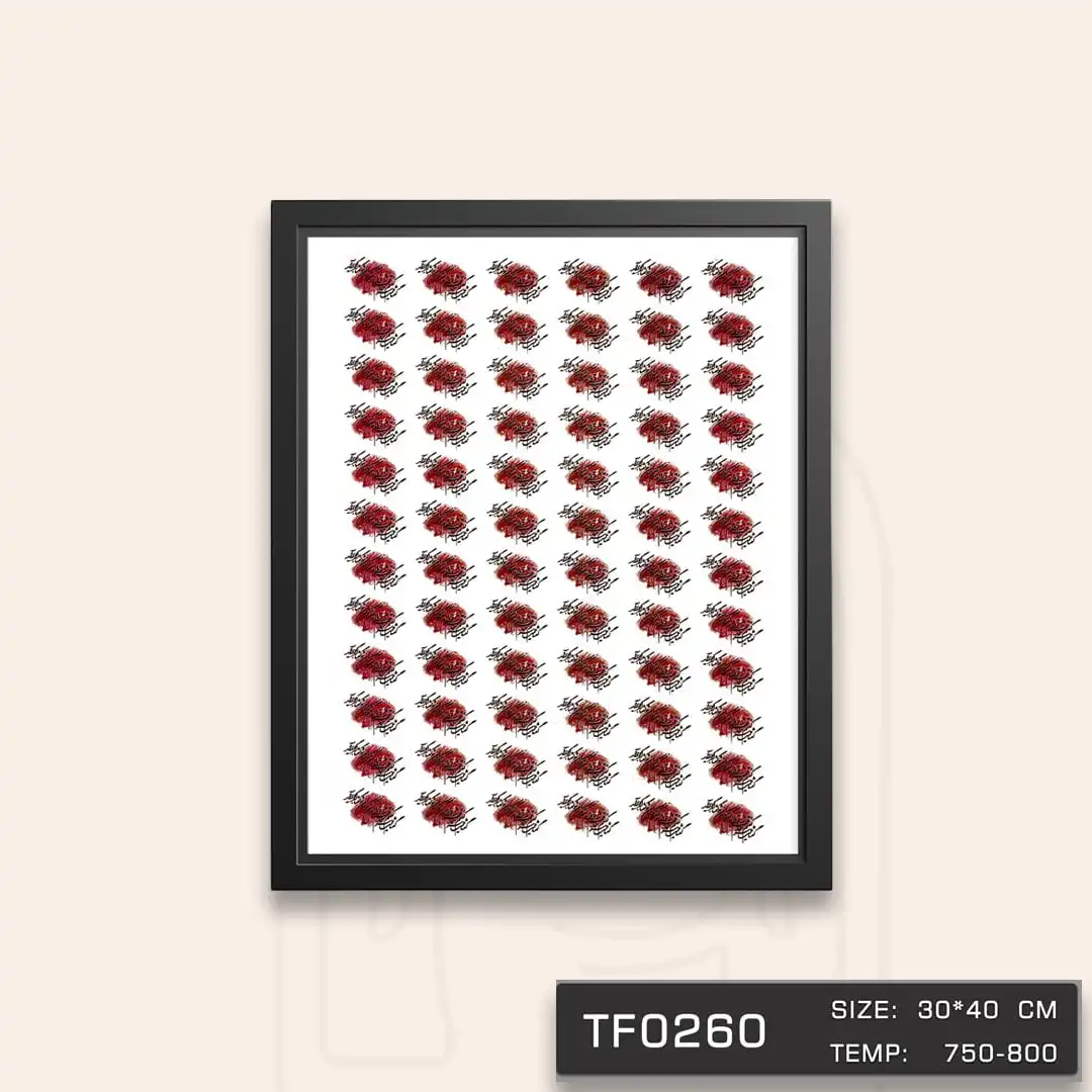 TF0260 ترانسفر سیاه مشق صورتی