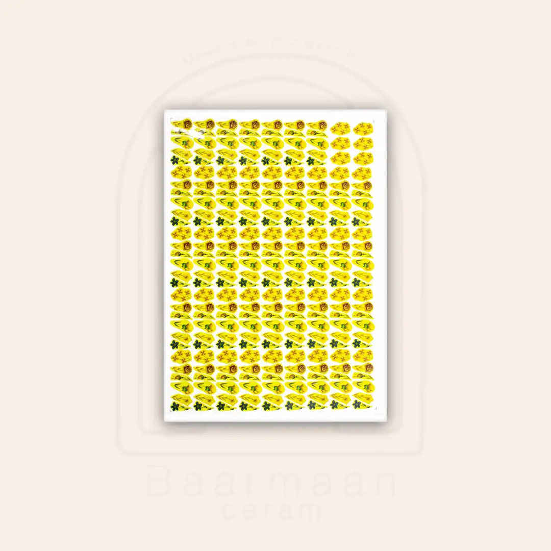 TF0712 ترانسفر گل رز