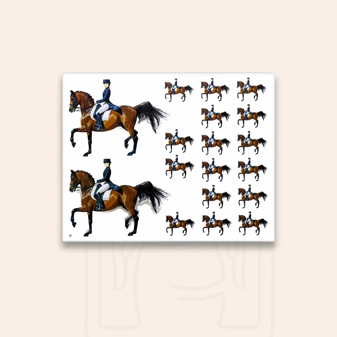 TF0697 ترانسفر اسب هرمس