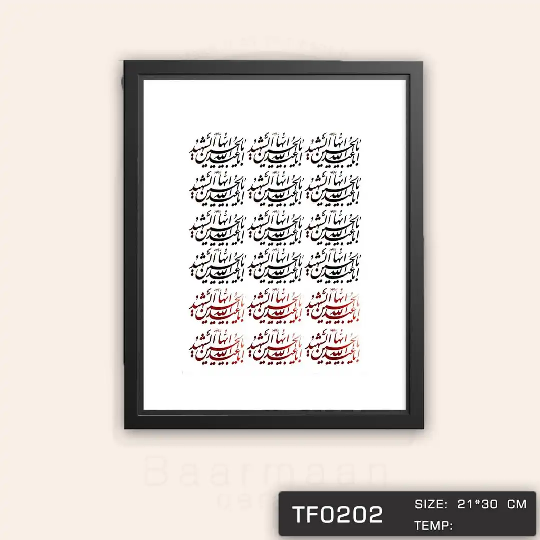 TF0202 ترانسفر سرد مذهبی
