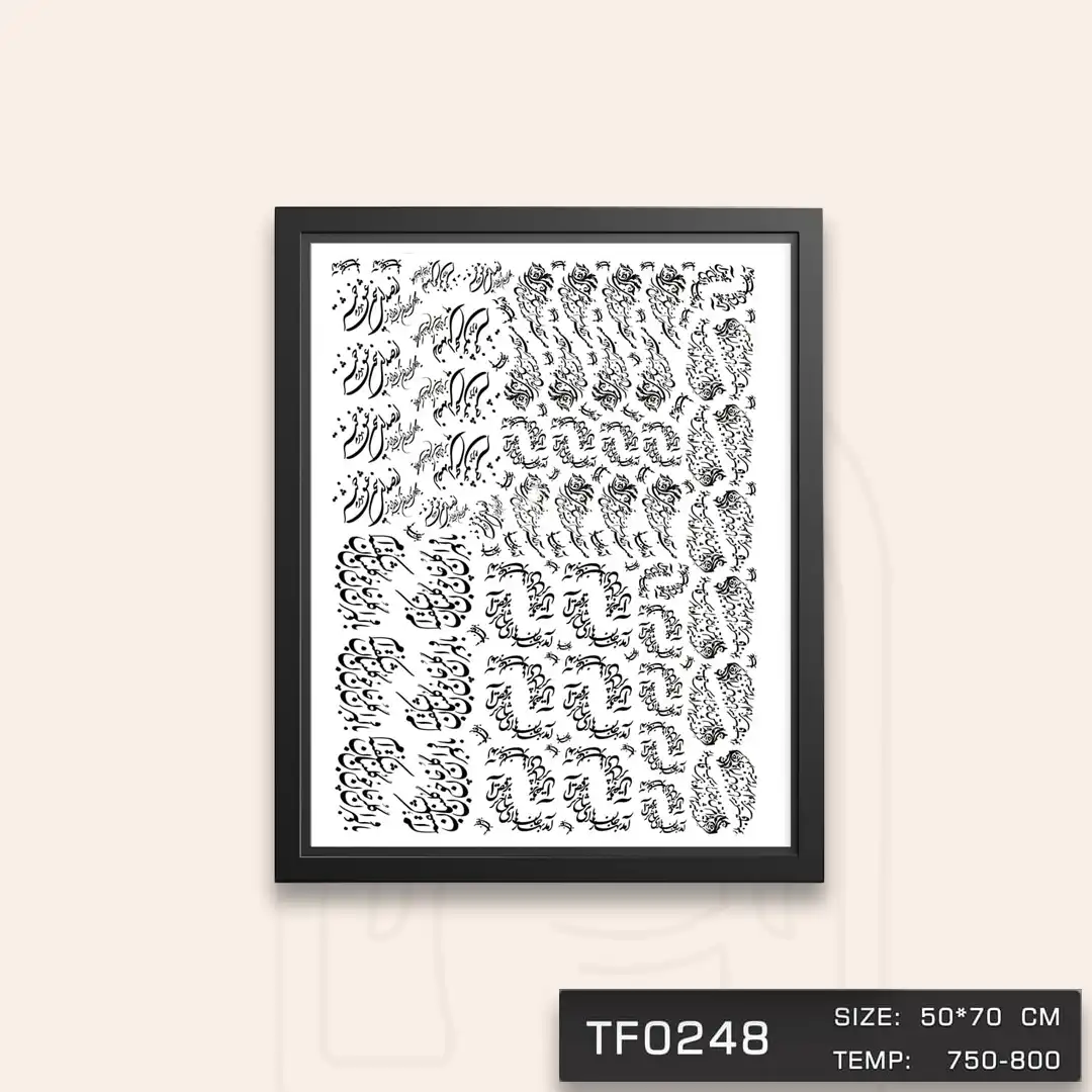 TF0248 ترانسفر سیاه مشق