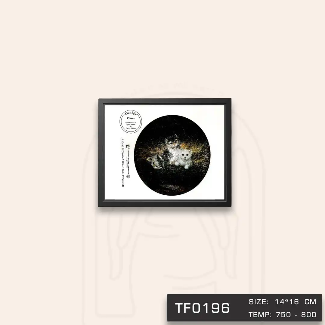 TF0196 ترانسفر Cats Life