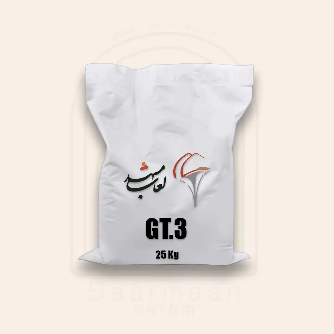 لعاب ترانس مشهد GT.3