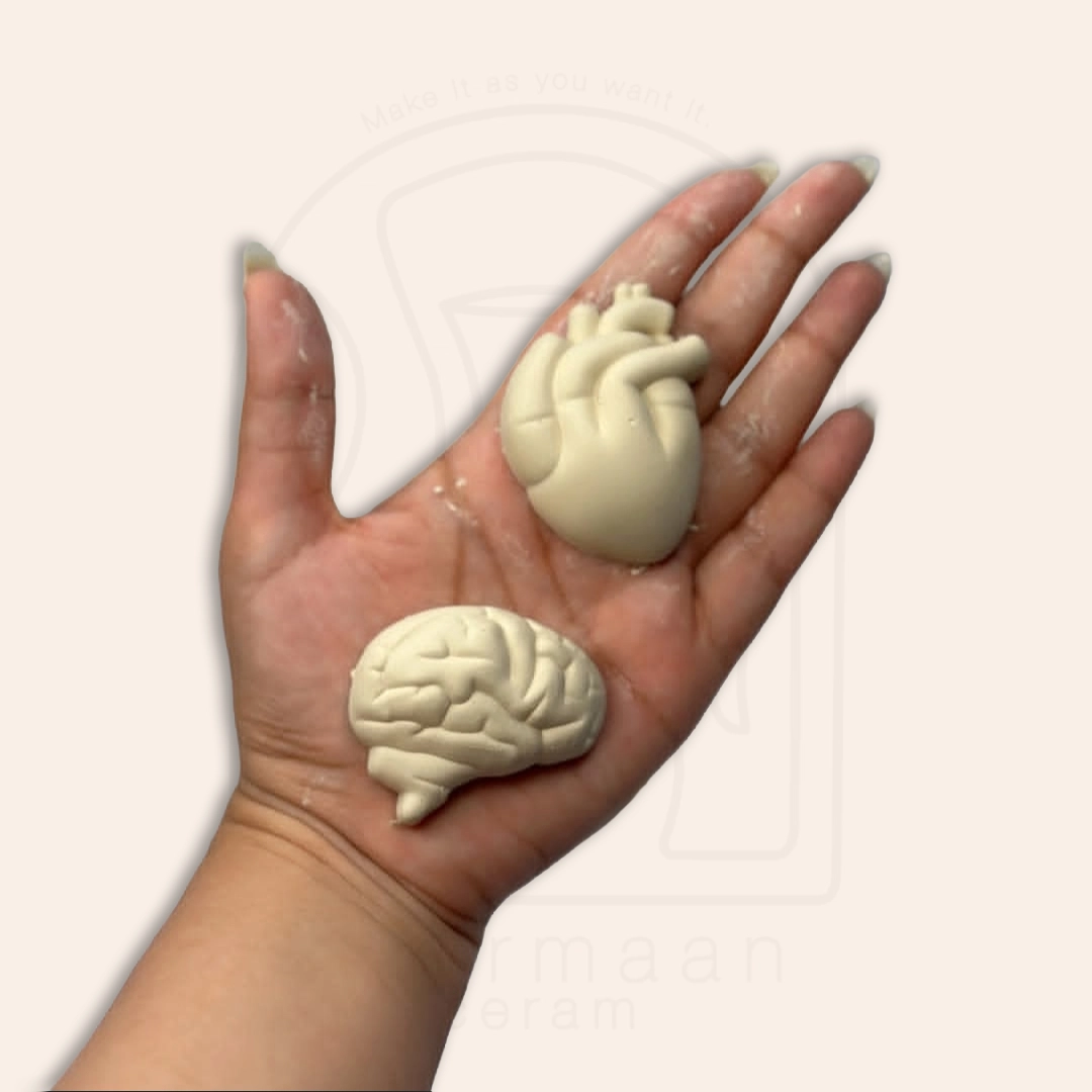 قالب اعضای بدن