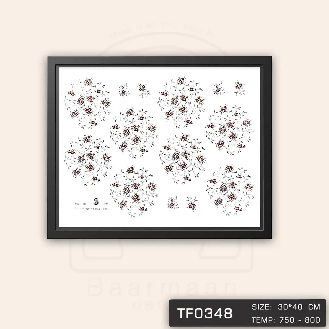 TF0348 ترانسفر گل آلمانی