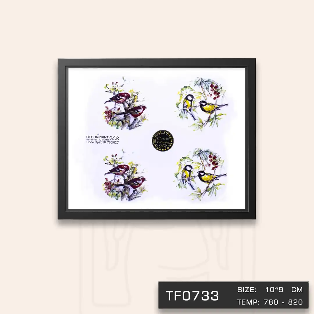 TF0733 ترانسفر پرنده